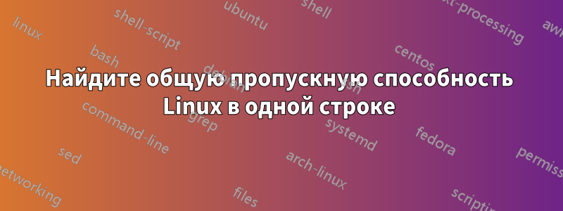 Найдите общую пропускную способность Linux в одной строке