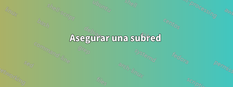 Asegurar una subred