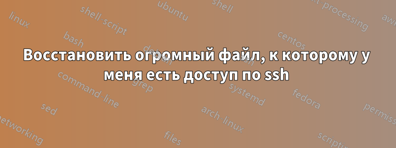 Восстановить огромный файл, к которому у меня есть доступ по ssh