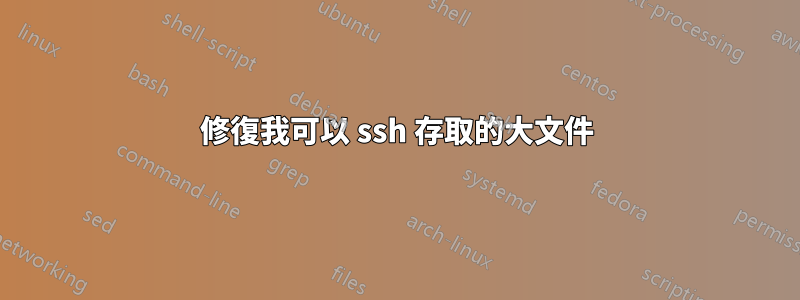 修復我可以 ssh 存取的大文件