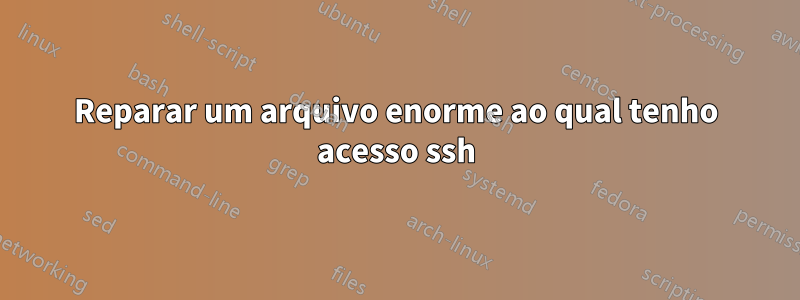 Reparar um arquivo enorme ao qual tenho acesso ssh