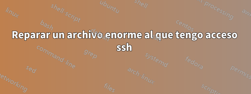 Reparar un archivo enorme al que tengo acceso ssh