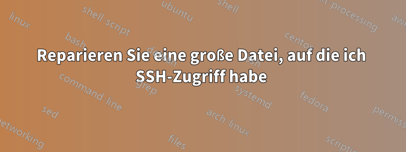 Reparieren Sie eine große Datei, auf die ich SSH-Zugriff habe