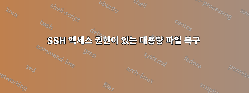 SSH 액세스 권한이 있는 대용량 파일 복구