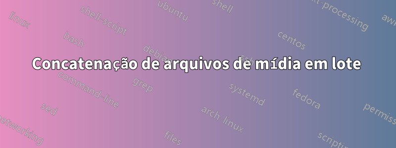 Concatenação de arquivos de mídia em lote