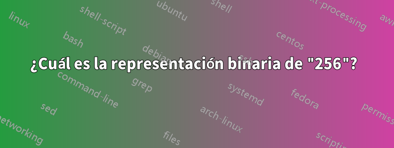 ¿Cuál es la representación binaria de "256"? 