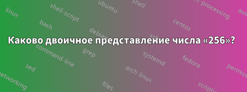 Каково двоичное представление числа «256»? 