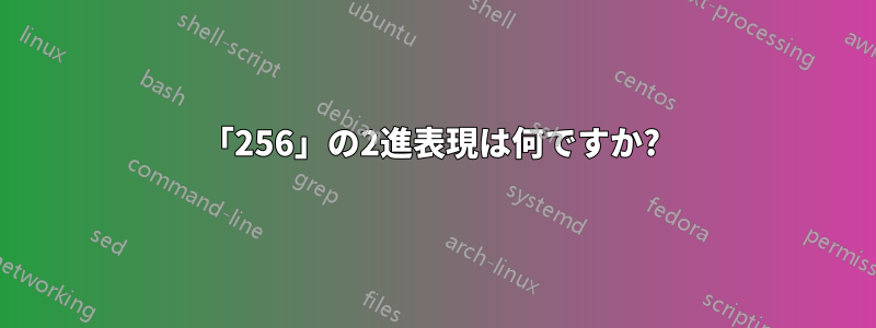 「256」の2進表現は何ですか? 