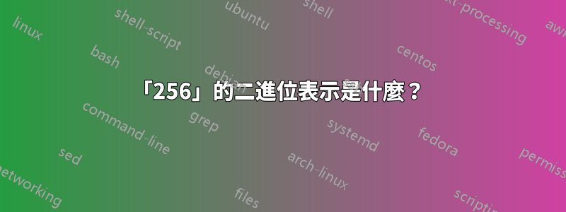 「256」的二進位表示是什麼？ 