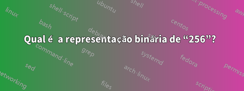 Qual é a representação binária de “256”? 