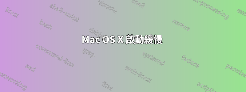 Mac OS X 啟動緩慢