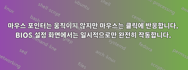 마우스 포인터는 움직이지 않지만 마우스는 클릭에 반응합니다. BIOS 설정 화면에서는 일시적으로만 완전히 작동합니다.