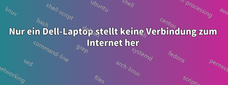 Nur ein Dell-Laptop stellt keine Verbindung zum Internet her