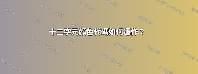 十二字元顏色代碼如何運作？ 