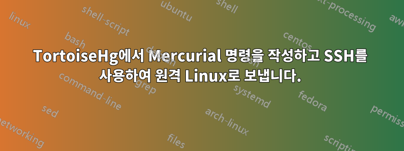 TortoiseHg에서 Mercurial 명령을 작성하고 SSH를 사용하여 원격 Linux로 보냅니다.