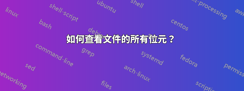 如何查看文件的所有位元？