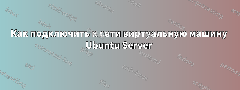 Как подключить к сети виртуальную машину Ubuntu Server