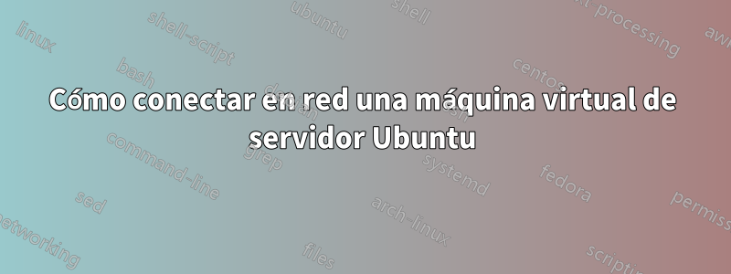 Cómo conectar en red una máquina virtual de servidor Ubuntu