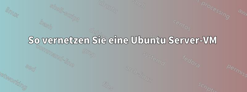 So vernetzen Sie eine Ubuntu Server-VM