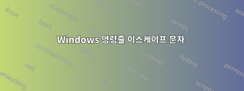 Windows 명령줄 이스케이프 문자