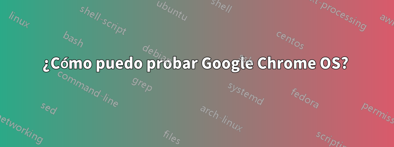 ¿Cómo puedo probar Google Chrome OS?