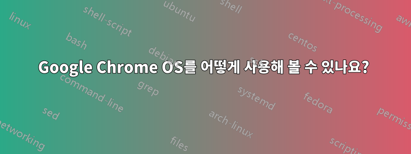 Google Chrome OS를 어떻게 사용해 볼 수 있나요?