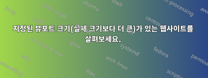 지정된 뷰포트 크기(실제 크기보다 더 큰)가 있는 웹사이트를 살펴보세요.