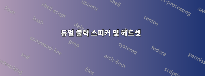 듀얼 출력 스피커 및 헤드셋 