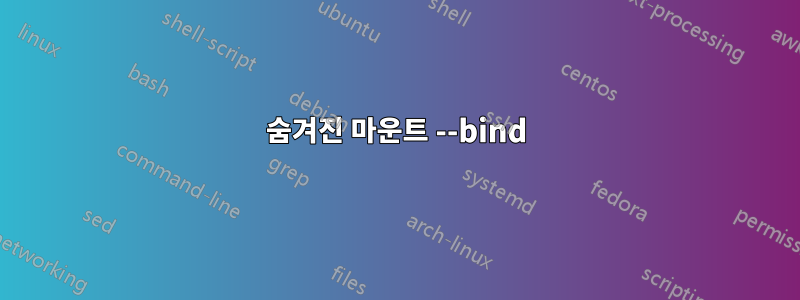 숨겨진 마운트 --bind