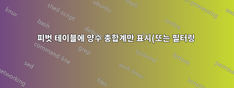 피벗 테이블에 양수 총합계만 표시(또는 필터링)합니다.