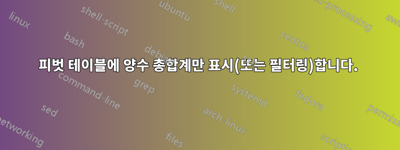 피벗 테이블에 양수 총합계만 표시(또는 필터링)합니다.