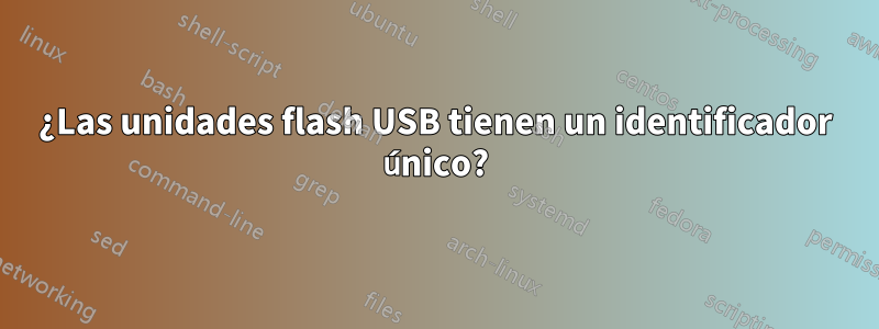 ¿Las unidades flash USB tienen un identificador único?