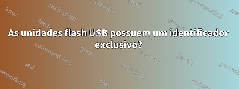 As unidades flash USB possuem um identificador exclusivo?