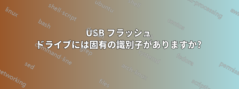 USB フラッシュ ドライブには固有の識別子がありますか?