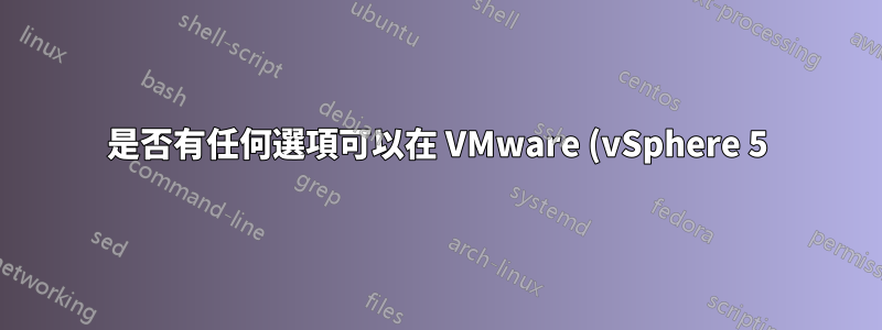 是否有任何選項可以在 VMware (vSphere 5) 虛擬機器上安裝音效卡