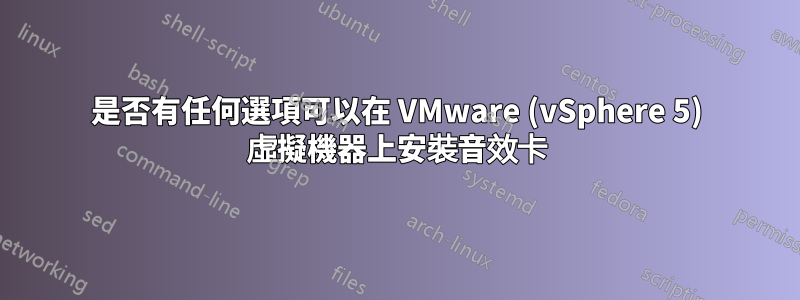 是否有任何選項可以在 VMware (vSphere 5) 虛擬機器上安裝音效卡