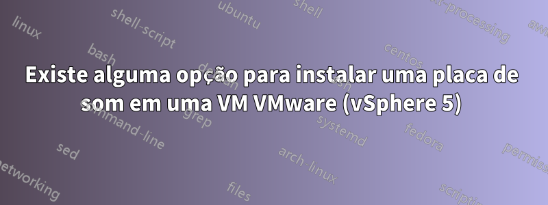 Existe alguma opção para instalar uma placa de som em uma VM VMware (vSphere 5)