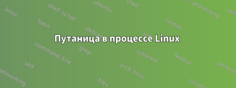 Путаница в процессе Linux