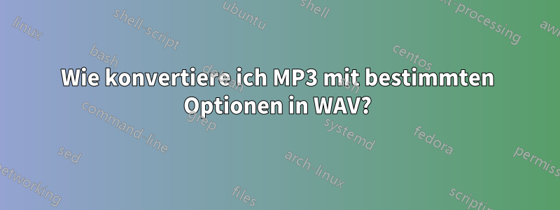 Wie konvertiere ich MP3 mit bestimmten Optionen in WAV?