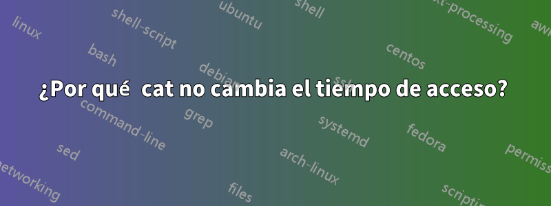 ¿Por qué cat no cambia el tiempo de acceso?