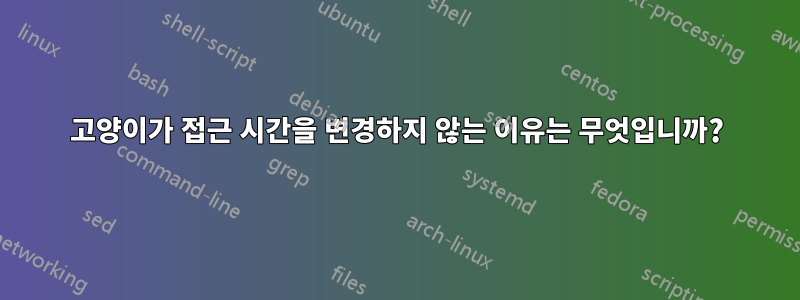 고양이가 접근 시간을 변경하지 않는 이유는 무엇입니까?