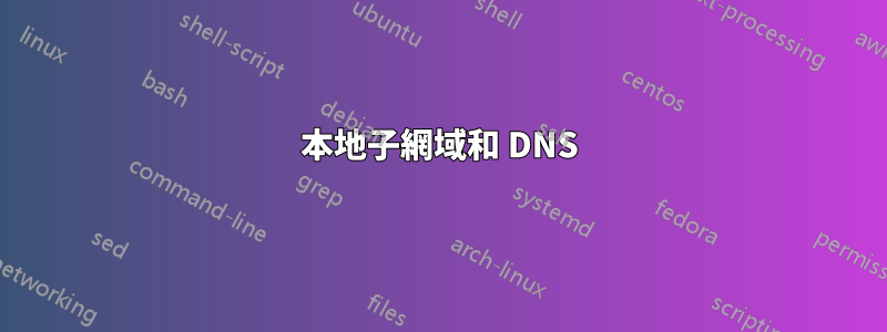 本地子網域和 DNS