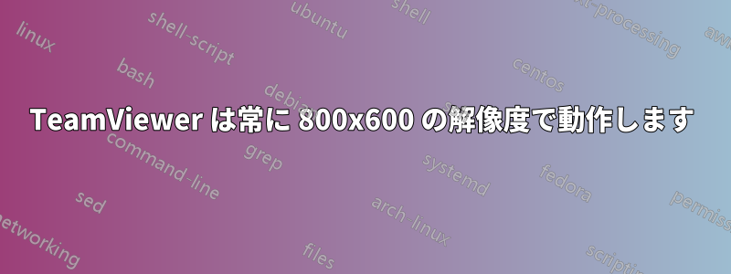 TeamViewer は常に 800x600 の解像度で動作します