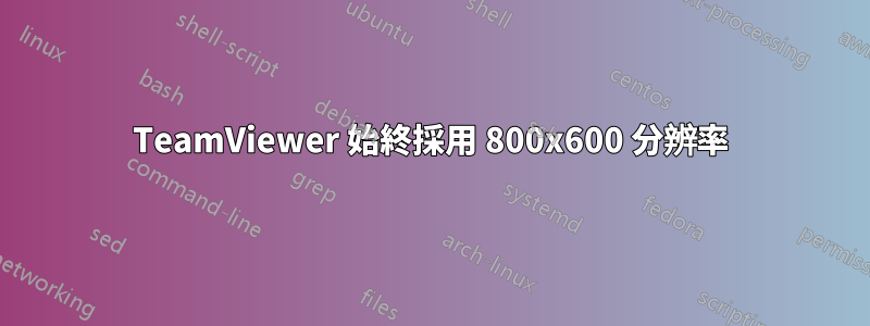 TeamViewer 始終採用 800x600 分辨率