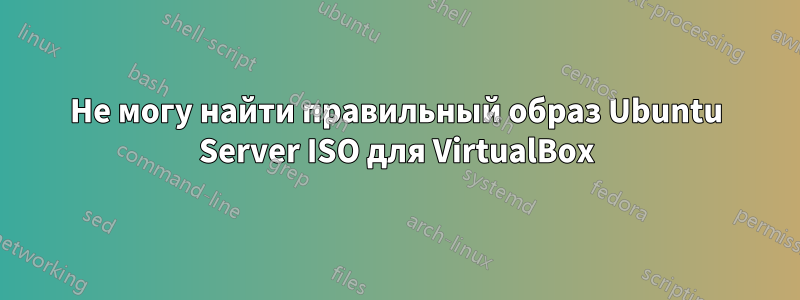 Не могу найти правильный образ Ubuntu Server ISO для VirtualBox