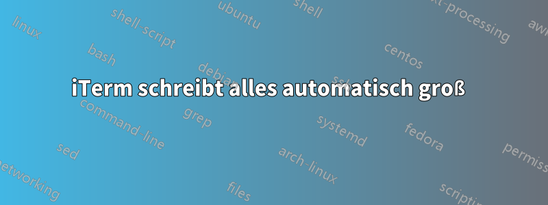 iTerm schreibt alles automatisch groß