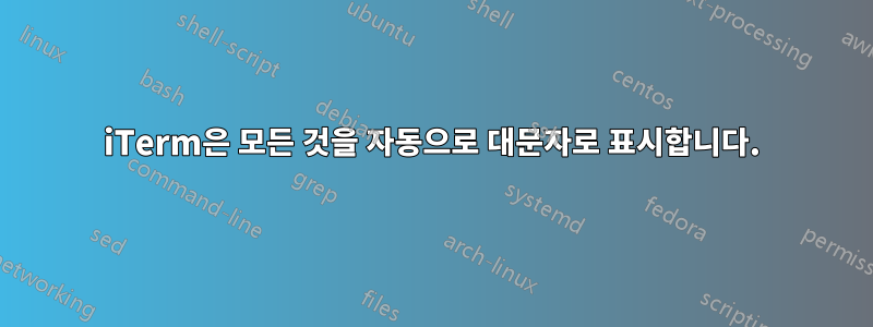 iTerm은 모든 것을 자동으로 대문자로 표시합니다.