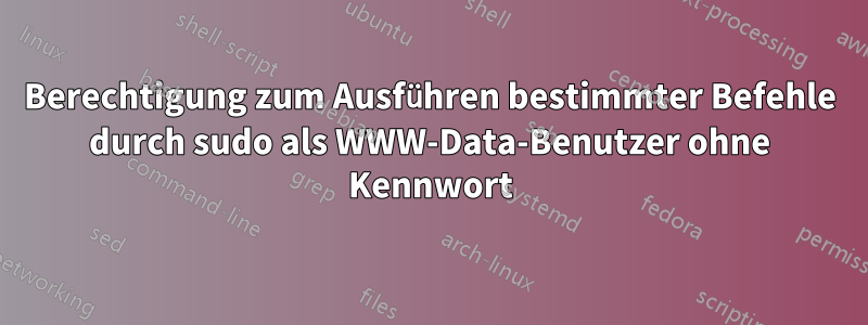 Berechtigung zum Ausführen bestimmter Befehle durch sudo als WWW-Data-Benutzer ohne Kennwort