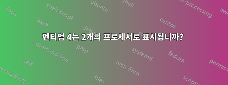 펜티엄 4는 2개의 프로세서로 표시됩니까?