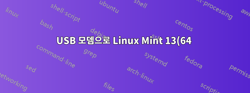 USB 모뎀으로 Linux Mint 13(64) 정지